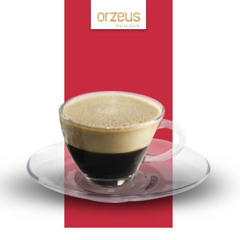 Orzeus